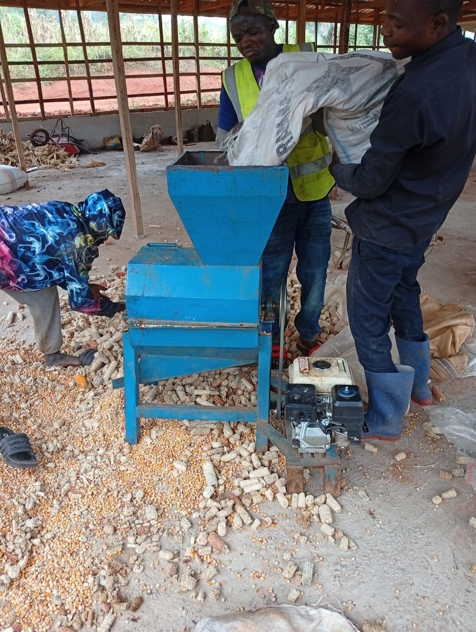 Ouvriers SAPPA transformant le maïs